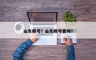 山东限号？山东限号查询？