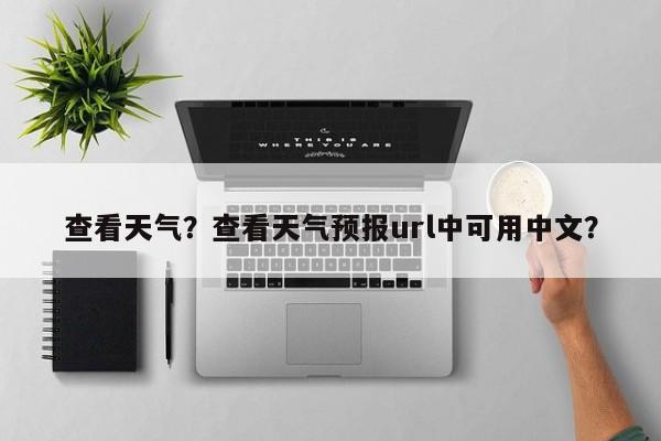 查看天气？查看天气预报url中可用中文？-第1张图片-我的记录笔记