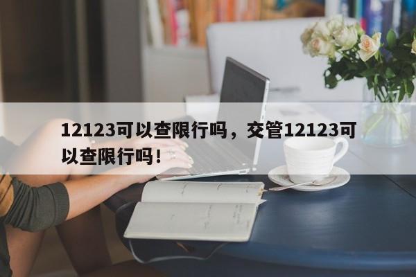 12123可以查限行吗，交管12123可以查限行吗！-第1张图片-我的记录笔记