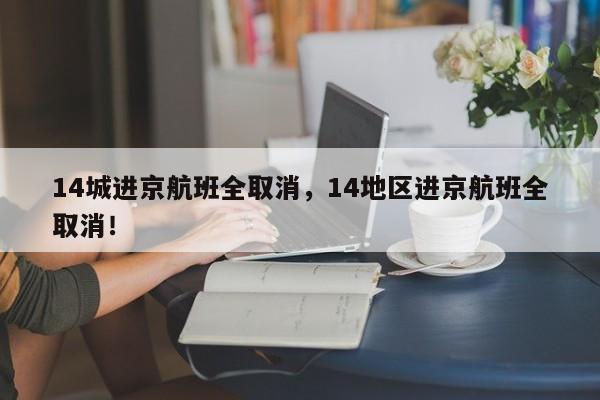 14城进京航班全取消，14地区进京航班全取消！-第1张图片-我的记录笔记